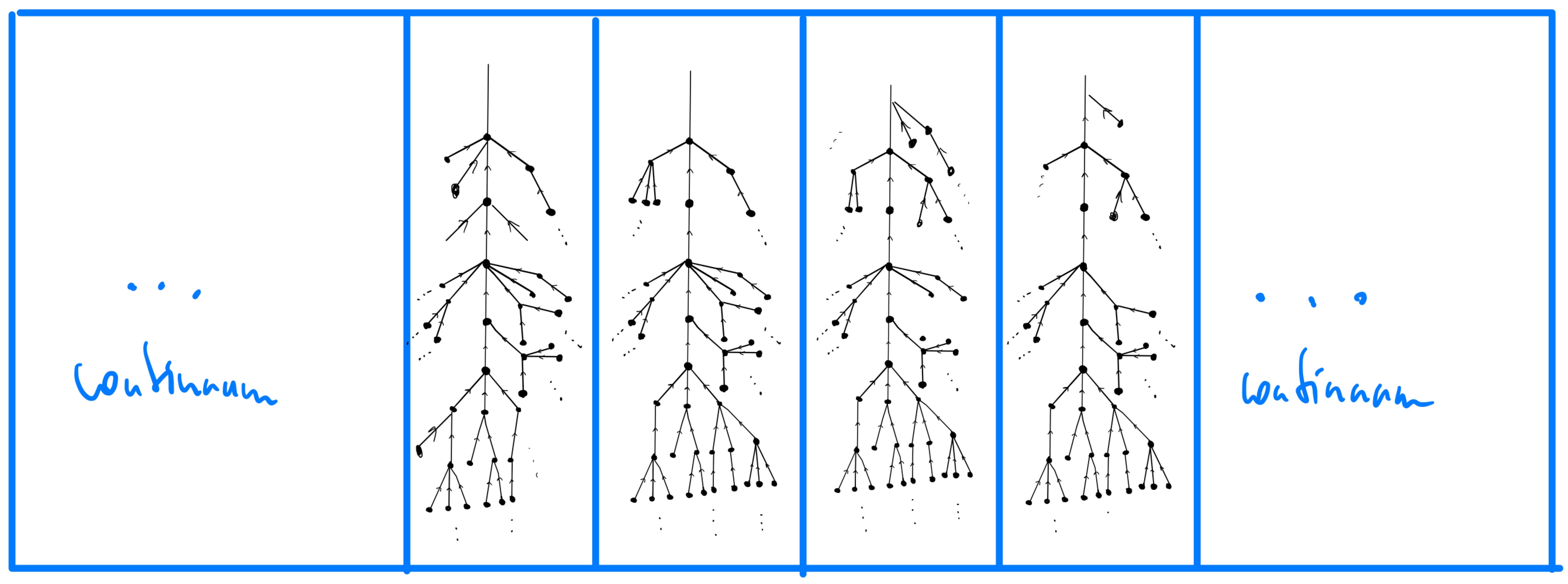 function graph