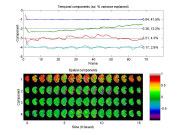 [Click to enlarge image]