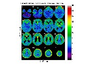 [Click to enlarge image]