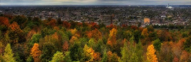 Montreal Autum